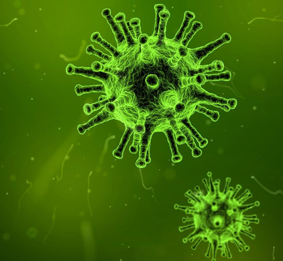 What Is The Coronavirus? 2